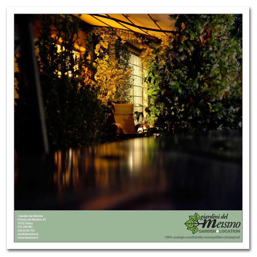 giardini meisino location torino 138